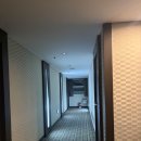 베니키아천안관광호텔 | [대전] 성심당 근처 호텔 “베니키아호텔 대림” 내돈내산 진짜 솔직후기