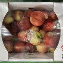 우박이네 이미지