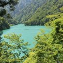 원시로4 이미지