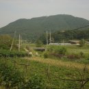 정운주택관리