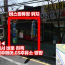 펫미장원 네이버블로그