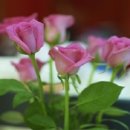 아름다운이야기 이미지