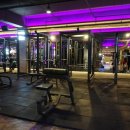 바디조짐 이미지