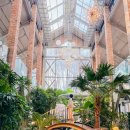 타미 | 2동탄 대형 브런치 카페 바스타미 내돈내산 후기