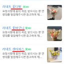 병점꽃집 라네트플라워, 감각적이고 세련된 꽃다발 선물 후기