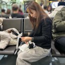 주식회사 렛잇뷰티 | 일본 교토 여행ㅣ1일차; 부산-오사카, 니시혼간지, 히가시혼간지, 기요미즈데라, 가부키 극장 남좌