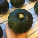 [6월 마지막주 장보기] 유기농 미니밤호박(안태진님...브라더), 백화골 푸른밥상, 나래농원 무농약 초당...