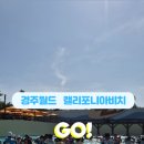 비치파크 | 경주 캘리포니아비치 경주월드 워터파크 후기 팁