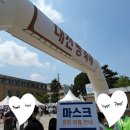 중구] 대전 빵축제 빵모았당 후기 - 헤이마오차이, 백금당, 대전 갑천열기구축제, 둔산 포토이즘, 탐라포차