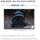 우쭈쭈펫샵 | 길고양이 하우스: 몰리스펫샵 후드하우스 구매 후기