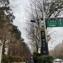 리추얼37(Ritual37) 네이버블로그