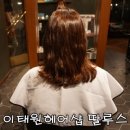 딸루스 이미지