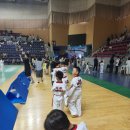 경희대효성태권도 이미지