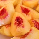 진희농장 이미지