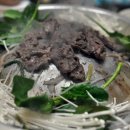 아성식당 이미지