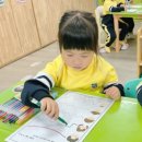 영월군 가족센터 이미지