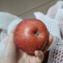 청송농산 - 속초시 수복로 31 | 청송농산