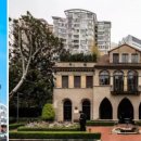 천과나무 이미지