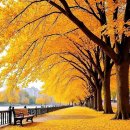 따뜻한 한줄 이미지