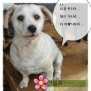 탑고을바라기 Daum카페