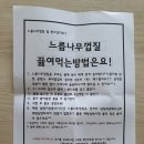 비염 숙면에 좋은 범왕골상회 느릅나무껍질 유근피차 후기