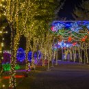 별빛, 꿈을 그리다 - 울산대공원 장미원 빛축제 2018 이미지