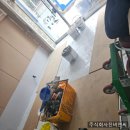 멕시카나구리 이미지