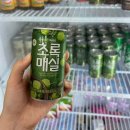 [김해꽃집] 다복이 꽃 백화점(키움다육농장) 장유 최대 규모 꽃배달가능 식물쇼핑 후기