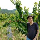 속초더샵공인중개사사무소 | 개설 성품 마음 숙고 속초 여행 노학동 메아리 망중한 의도 부동산 공인중개사 하나님 삼겹살 토지 주식 운