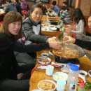 정영숙 Daum카페
