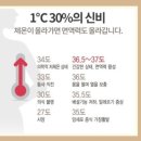 36.5체온다이어트 이미지