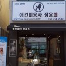 애견미용사 장윤희 이미지