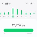 [경주] 경주 뚜벅이 2박3일 여행 1일차 일정