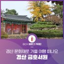 금락1리 | 경산 문화재 여행지, 가을로 물든 금호서원
