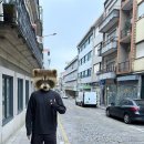 DE059 | 4일차 / 🇵🇹 잊지못할 우중러닝