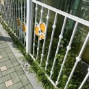 KT춘천지사(KT춘천빌딩) 이미지