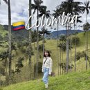 코코농장 | 콜롬비아 살렌토 라 카르보네라 La Carbonera 후기 | 코코라밸리보다 더 자연 그대로의 야자수 명소