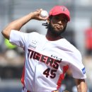 메디나인 이미지