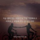 시랑 이미지