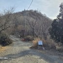 2025.2.6 천마산,장군산,진정산,편백나무숲길,천마조각공원,감천문화마을,송도빛축제,송도해수욕장,해운대해수욕장,해운대전통시장,부산역 이미지