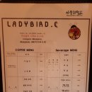 레이디버드씨 이미지