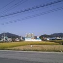 서계마을 이미지