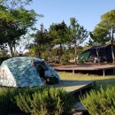 제주돌하르방캠핑장 이미지