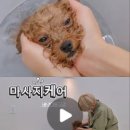 꼼꼼하개 - 양산시 버들길 12 | 꼼꼼하개