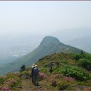 제암산등산로 이미지