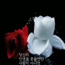 병적인 이타주의 이미지