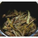 솔향이 진한 이미지