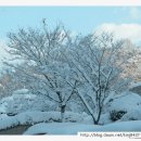 광주문화예술회관의 눈오는날 풍경2005.12.5 이미지