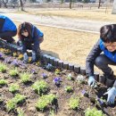 아시아드주경기장 이미지