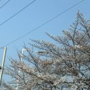 목상동 화장실 | [중식] 대전 목상동 주민 맛집 영빈관 내돈내산 후기